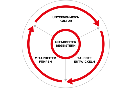 PLASTON_Grafik_HR_DE_webseite